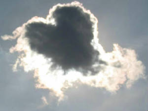amor003.jpg