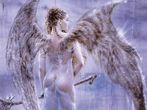 angela_0800.jpg