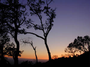 paisaje1.jpg