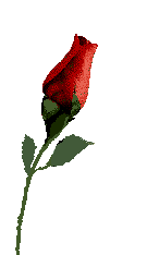 rose3.gif